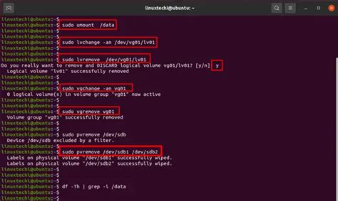 lv delete command
